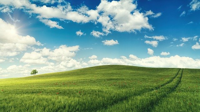 反毒者聯盟-青少年反毒營會
